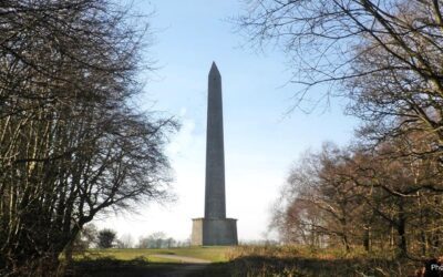 Do You Need A Web Designer In Wellington?